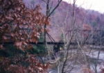 "NORTH FROM CSX MAIN" IMAGE COPYRIGHT MR. BOB CLOUSTON